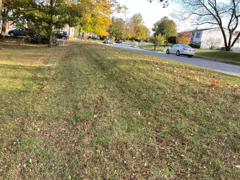 Reliable outdoor landscaping in Glen Burnie, MD - Ever Lawn Care