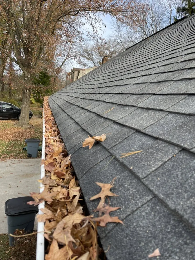 Reliable lawn care service experts serving Glen Burnie, MD - Ever Lawn Care