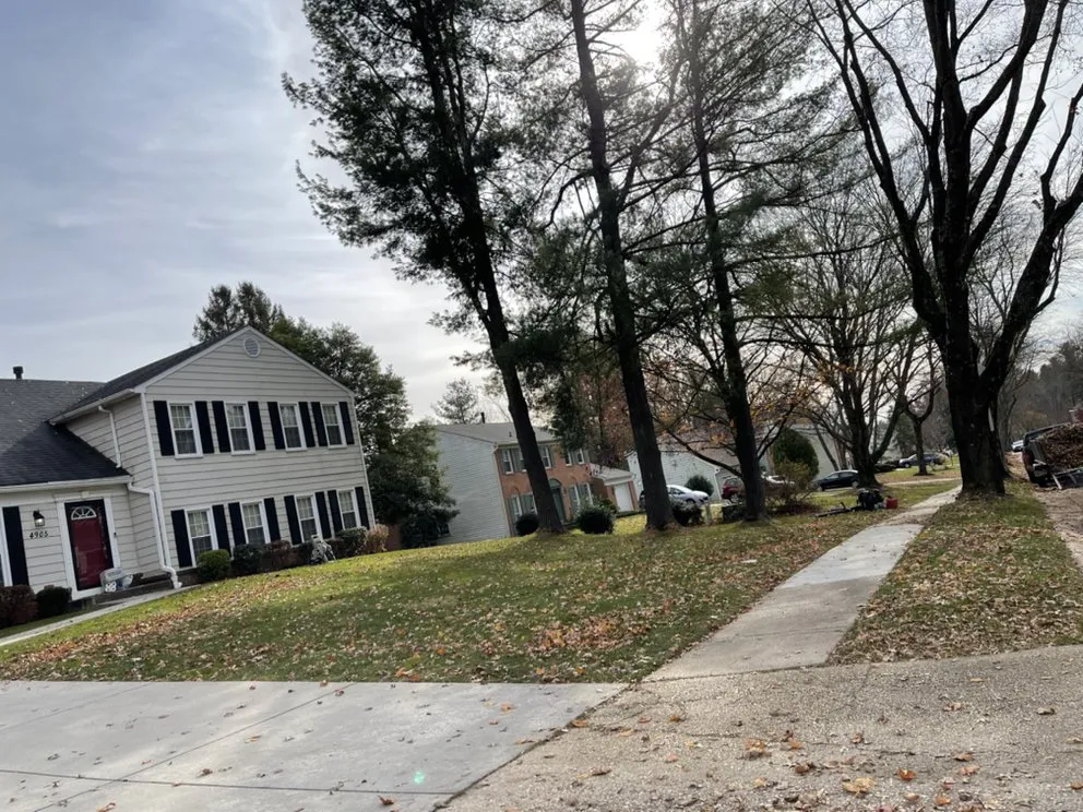 Professional outdoor landscaping with custom design in Glen Burnie, MD by Ever Lawn Care