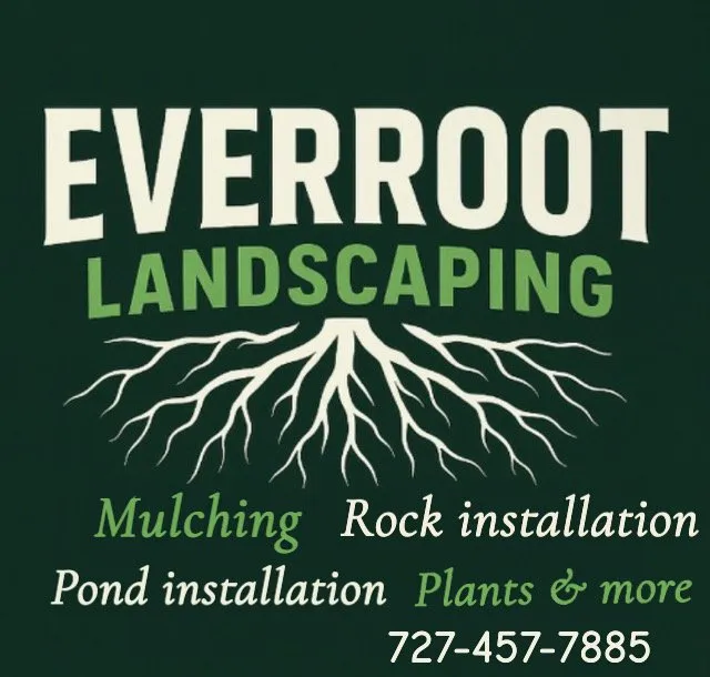 Reliable lawn mowing service for beautiful yards across New Port Richey, FL - Ever Root Landscaping