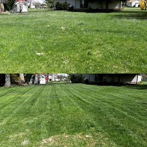 Affordable yard cleanup service for year-round maintenance in Hanover, IN by Everage Lawn Care