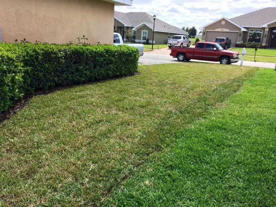 Trusted lawn care service in Haines City, FL by Everblades Lawn Service