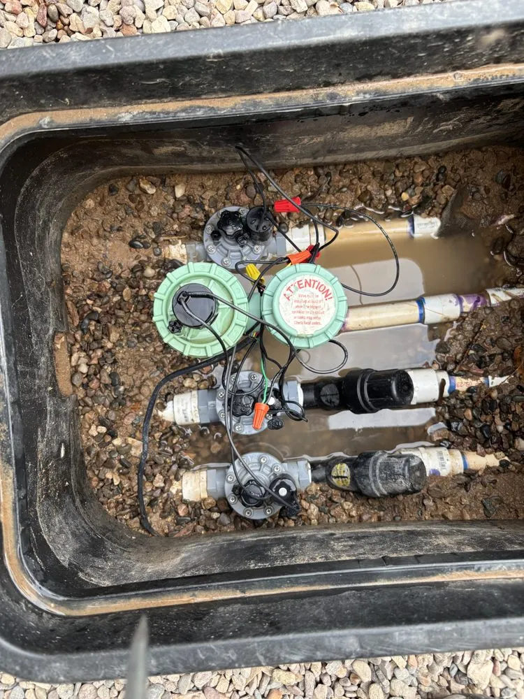 Reliable yard maintenance in Phoenix, AZ by EverBloom Landscape