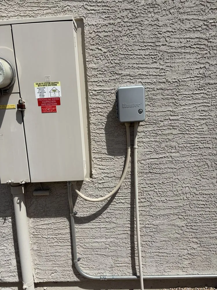 Expert yard maintenance in Phoenix, AZ - EverBloom Landscape