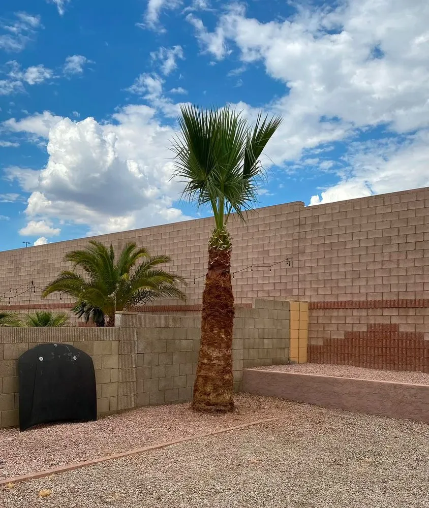 Affordable lawn mowing service for beautiful yards in Phoenix, AZ by EverBloom Landscape