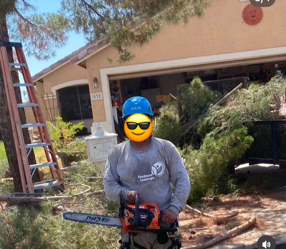 Custom lawn mowing service in Phoenix, AZ by EverBloom Landscape