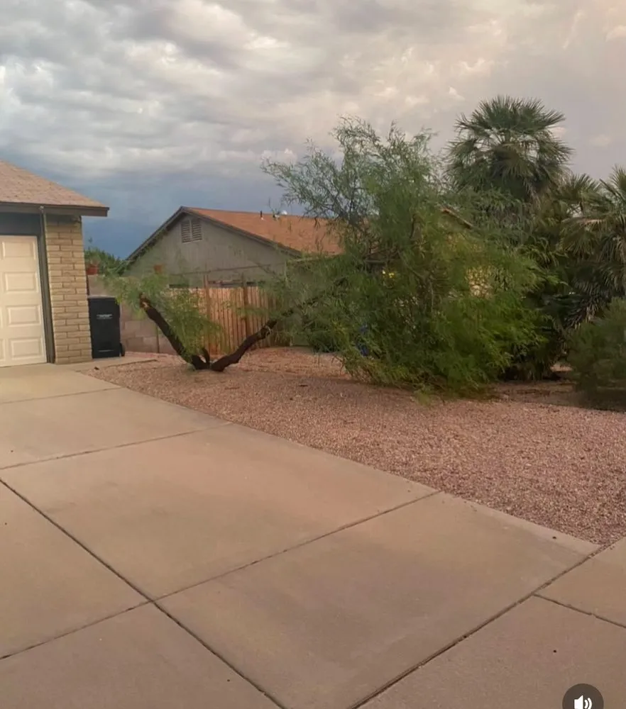 Affordable landscape installation for beautiful yards in Phoenix, AZ by EverBloom Landscape