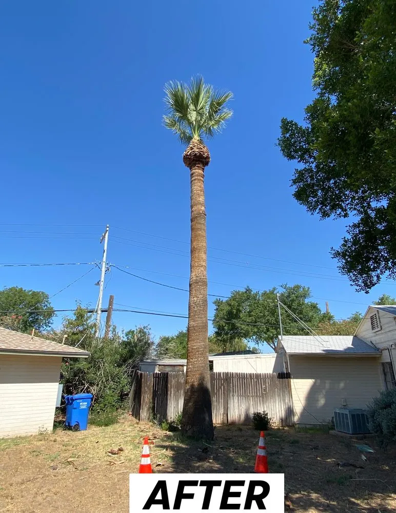 Reliable lawn mowing service in Phoenix, AZ by EverBloom Landscape