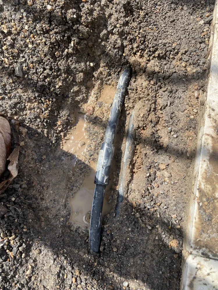 Trusted landscape installation for residential properties in Phoenix, AZ by EverBloom Landscape