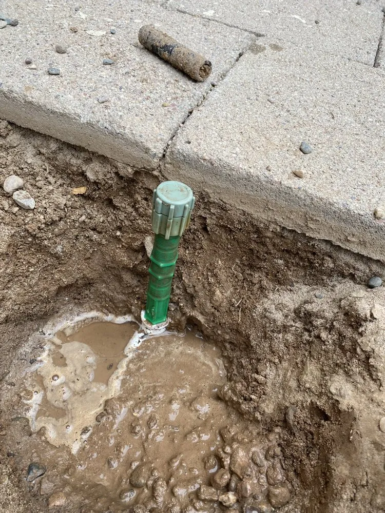 Trusted lawn care service experts serving Phoenix, AZ - EverBloom Landscape