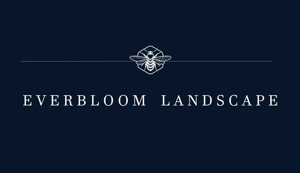 Local yard maintenance with custom design in Richardson, TX by Everbloom Landscape