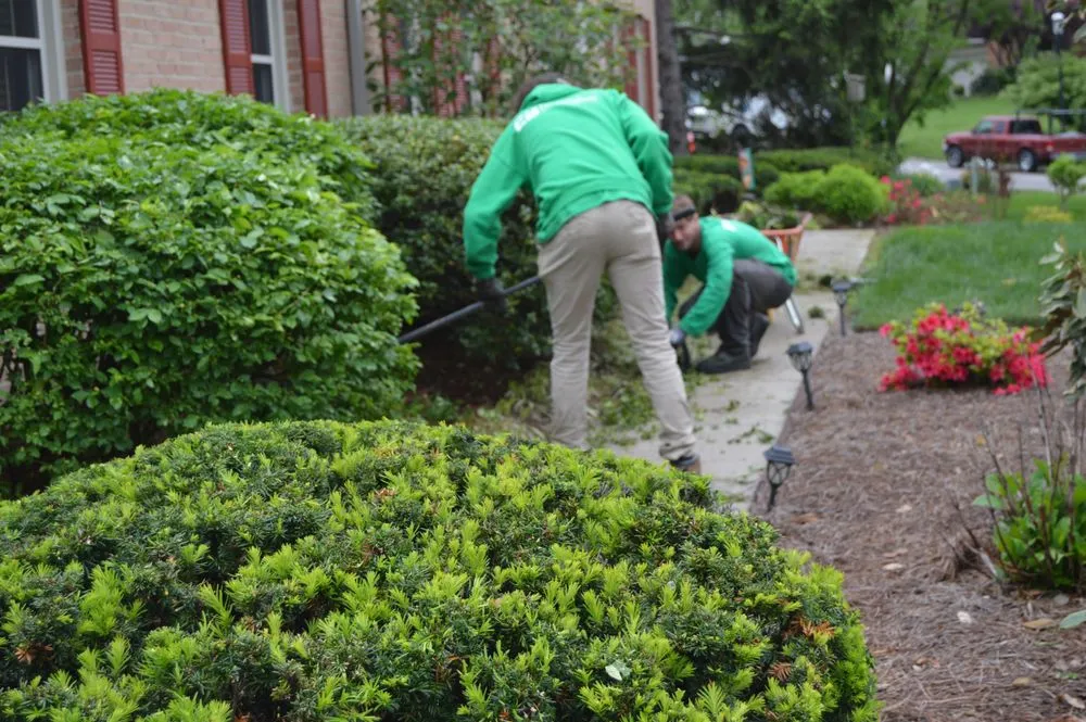 Trusted yard cleanup service in Batavia, OH - EverBold Landscaping