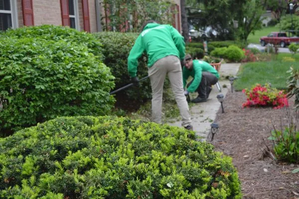 EverBold Landscaping