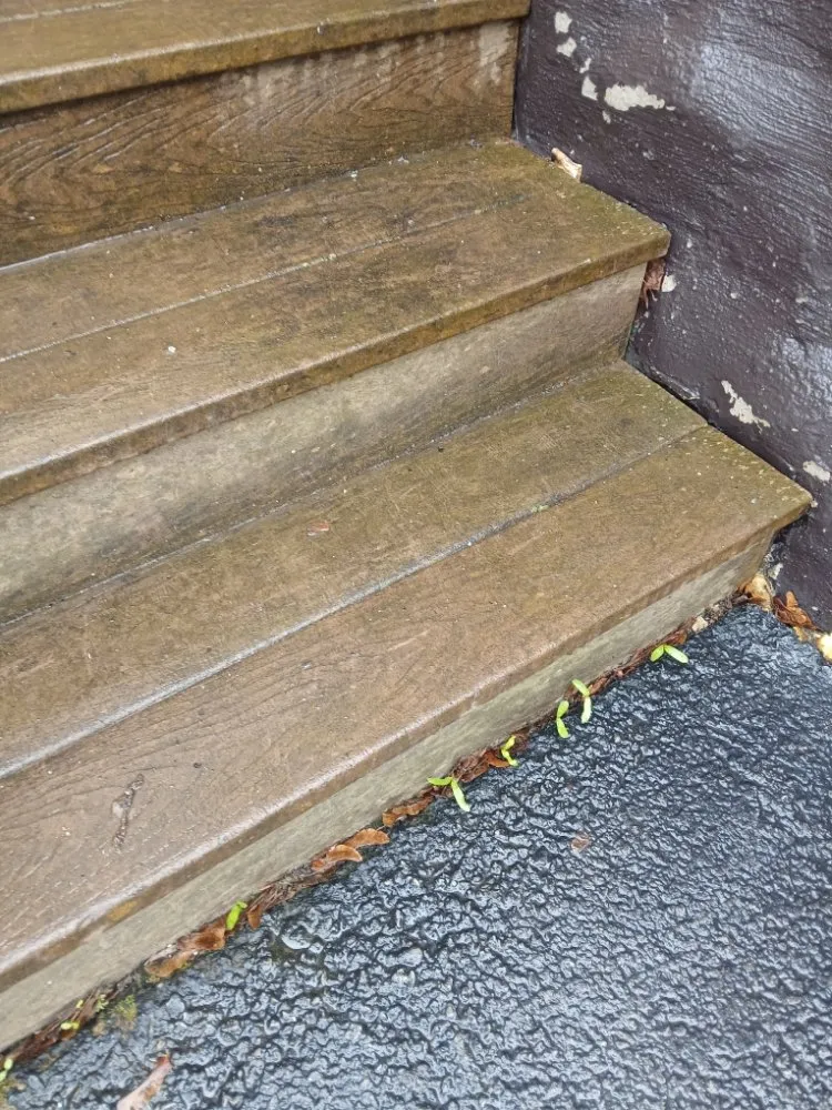 Expert landscape design in Ogdensburg, NY - Everbries Lawn Care Pressure Washing and Janitorial Services