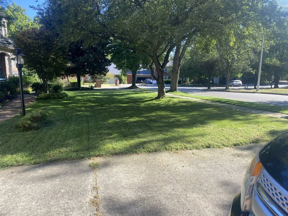 Expert yard cleanup service for beautiful yards in Winchester, KY by Everclean