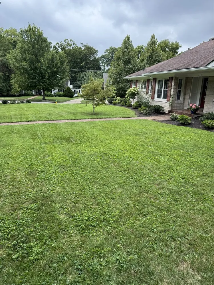 Affordable landscaping services with custom design in Winchester, KY by Everclean