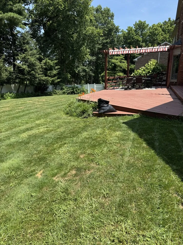 Trusted yard cleanup service experts serving Winchester, KY - Everclean