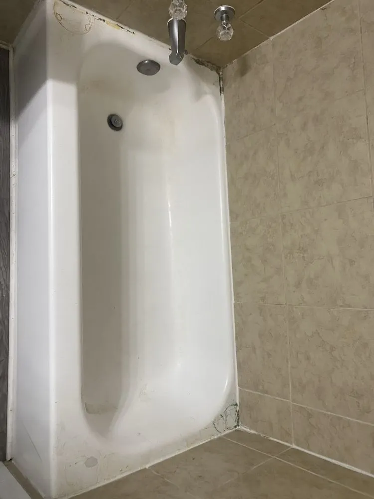 Professional yard cleanup service in Winchester, KY - Everclean