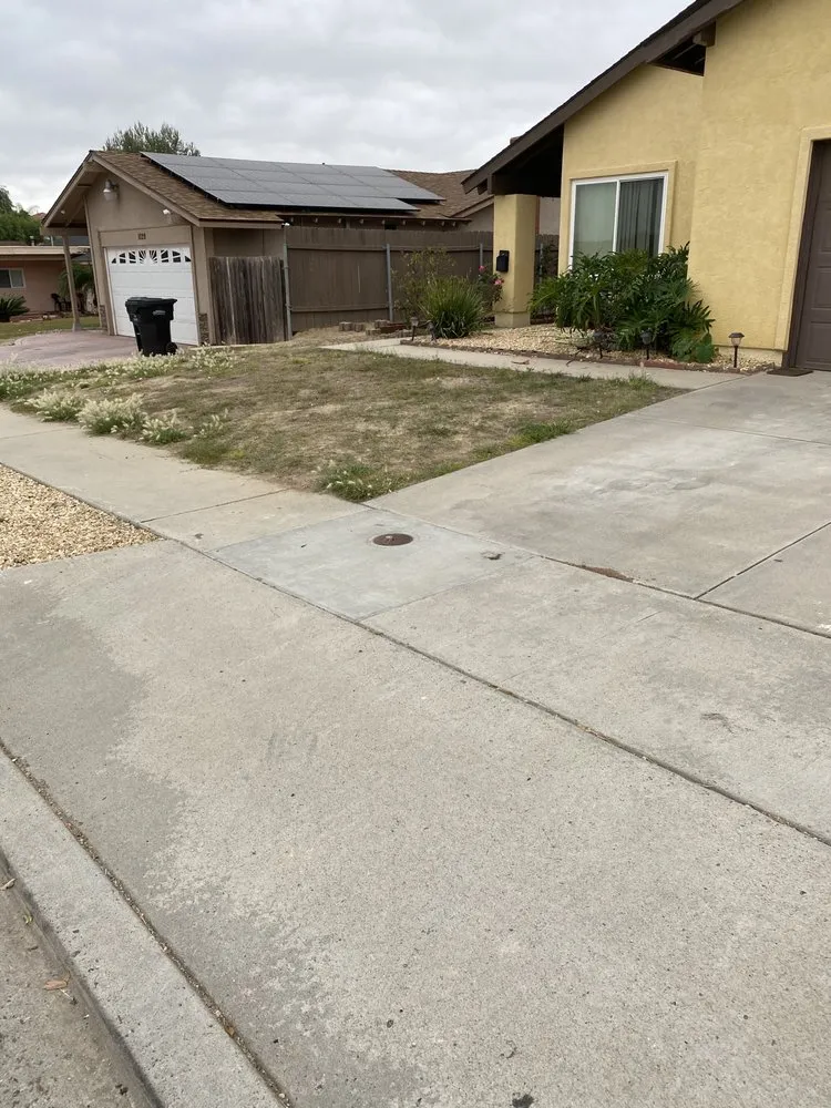 Trusted yard maintenance in Laguna Beach, CA - Evercrest Landscape & Design