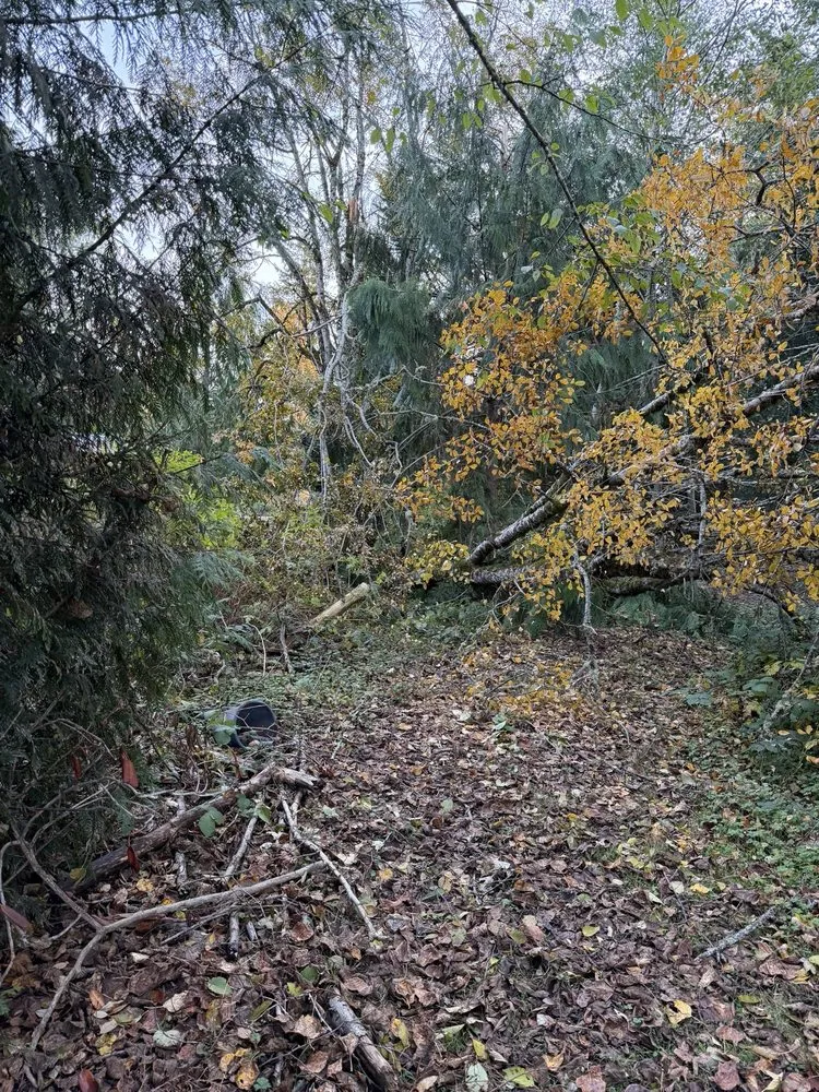 Trusted landscaping services experts serving Snohomish, WA - EverDrain Landscaping & Excavation