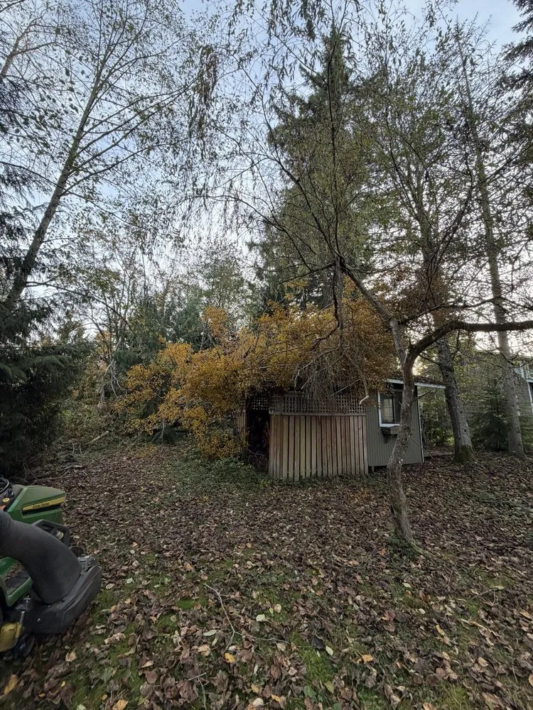 Top-rated landscape installation near you across Snohomish, WA - EverDrain Landscaping & Excavation