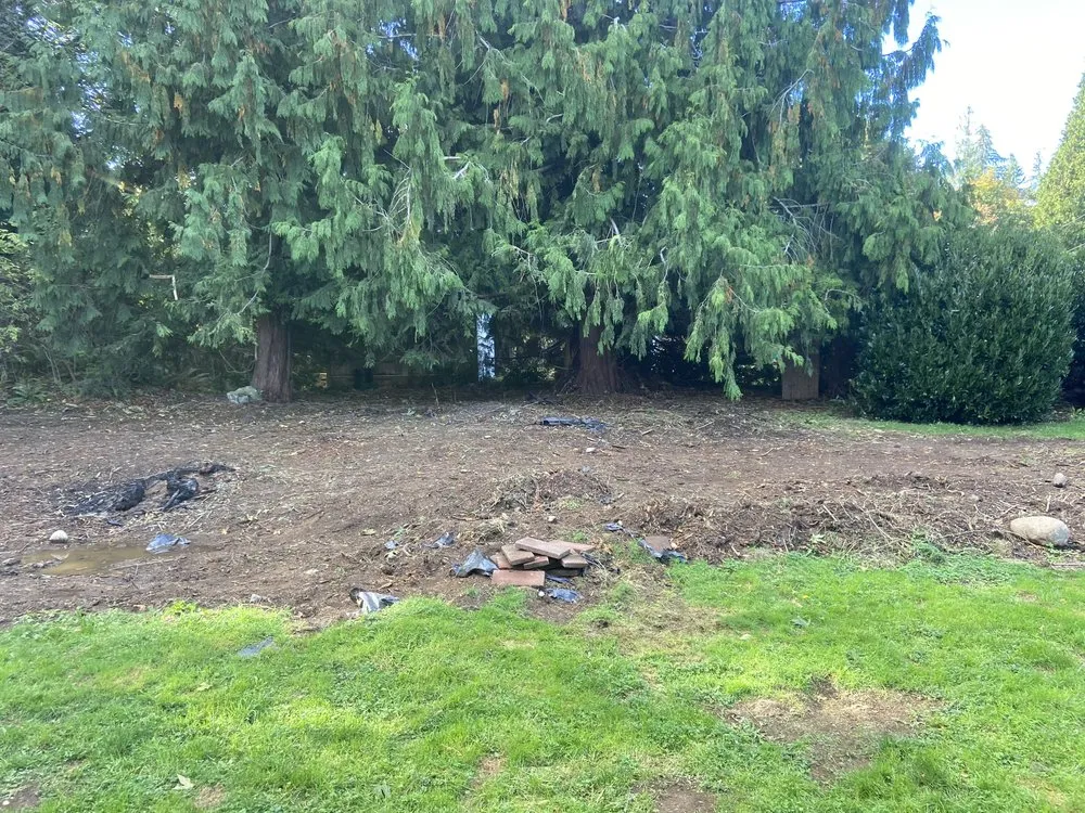 Reliable yard maintenance for homes across Snohomish, WA - EverDrain Landscaping & Excavation