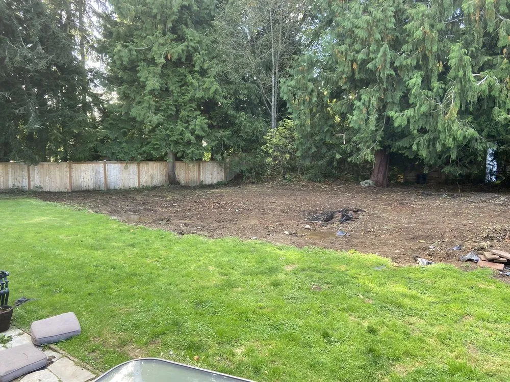Trusted yard cleanup service for homes in Snohomish, WA by EverDrain Landscaping & Excavation