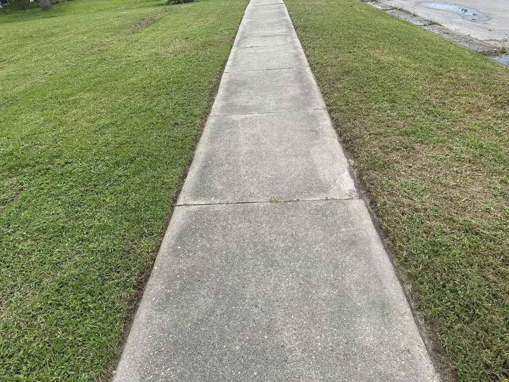 Expert yard maintenance experts serving Panama City, FL - Eveready Solutions