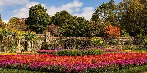 Top-rated landscape design in Lewisville, TX by Everest Green Horizons