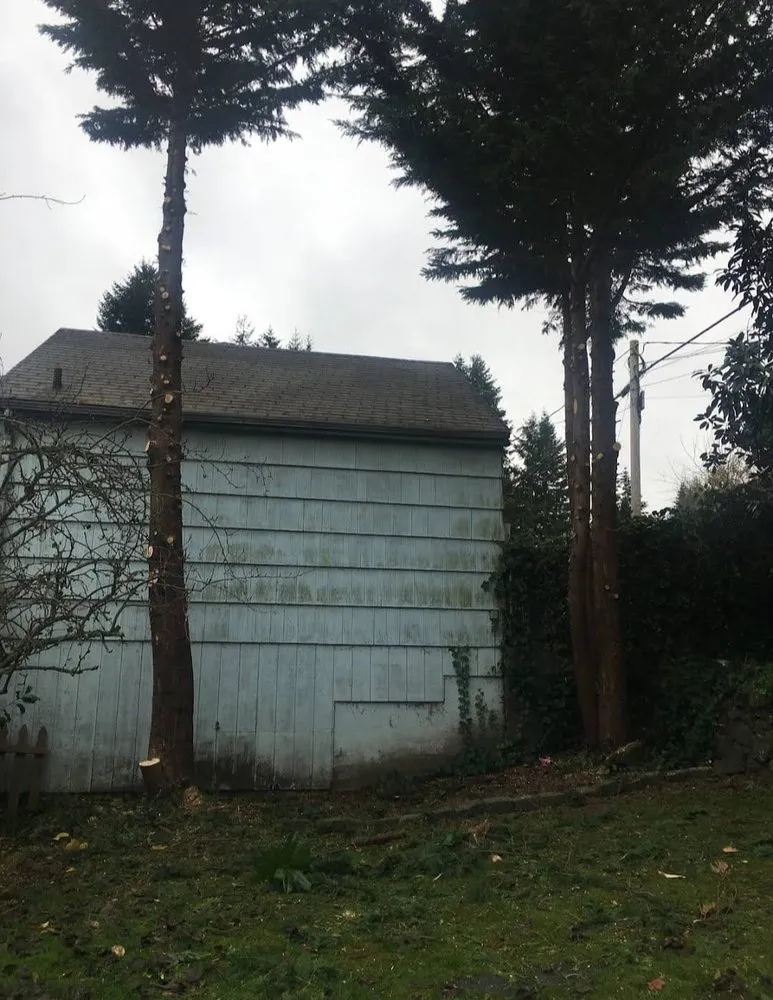 Local landscape design for homes in Seattle, WA by Everest Landscaping Services