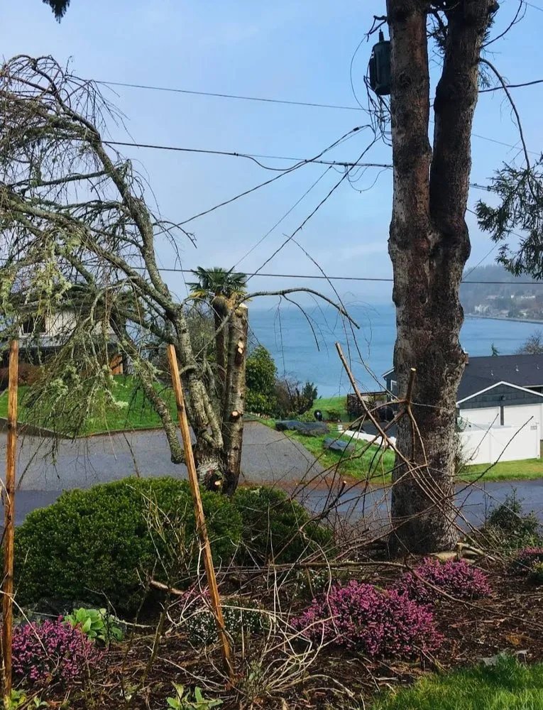 Professional garden landscaping for homes across Seattle, WA - Everest Landscaping Services