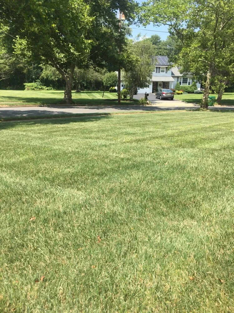 Top-rated residential landscaping with custom design in Monroe Township, NJ by Everest Lawn Service