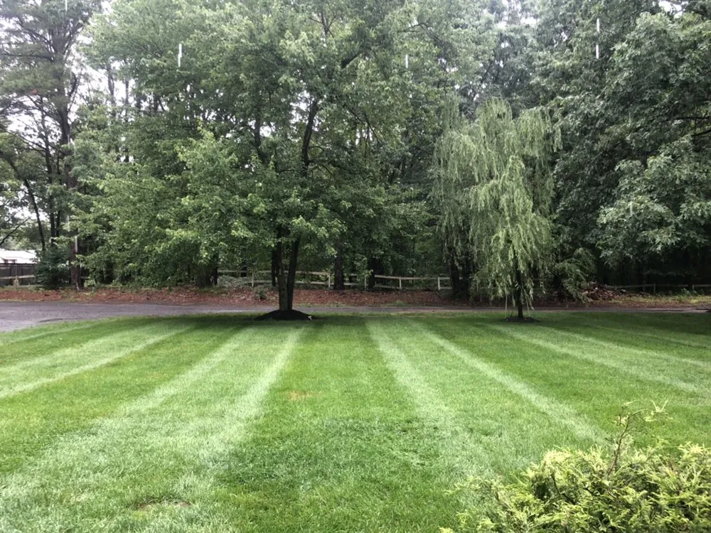 Top-rated lawn mowing service in Monroe Township, NJ by Everest Lawn Service