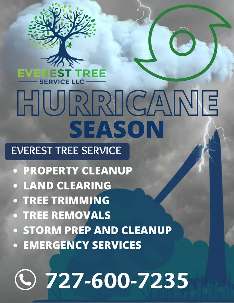 Reliable lawn care service in St. Petersburg, FL by Everest Tree Service