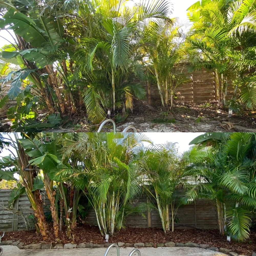 Expert outdoor landscaping in St. Petersburg, FL by Everest Tree Service
