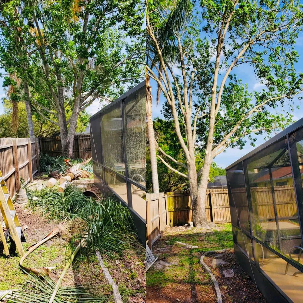 Professional outdoor landscaping for year-round maintenance across St. Petersburg, FL - Everest Tree Service