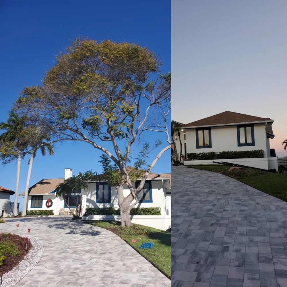 Top-rated yard cleanup service experts serving St. Petersburg, FL - Everest Tree Service