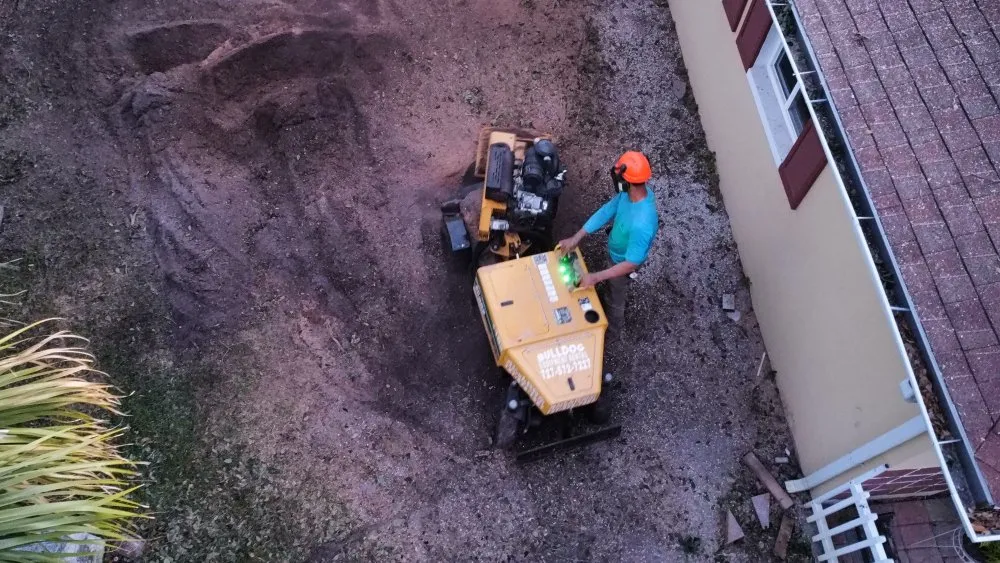 Affordable landscaping services in St. Petersburg, FL - Everest Tree Service