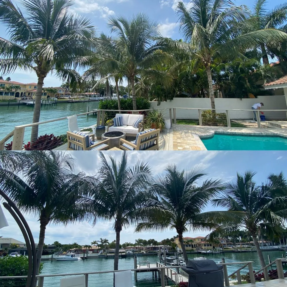 Expert yard maintenance for beautiful yards in St. Petersburg, FL by Everest Tree Service