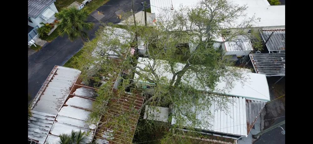 Custom yard cleanup service experts serving St. Petersburg, FL - Everest Tree Service