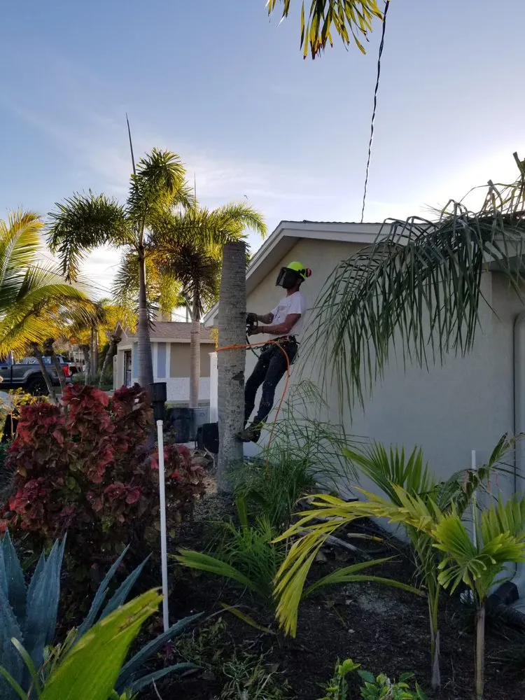 Expert landscape installation near you in St. Petersburg, FL by Everest Tree Service