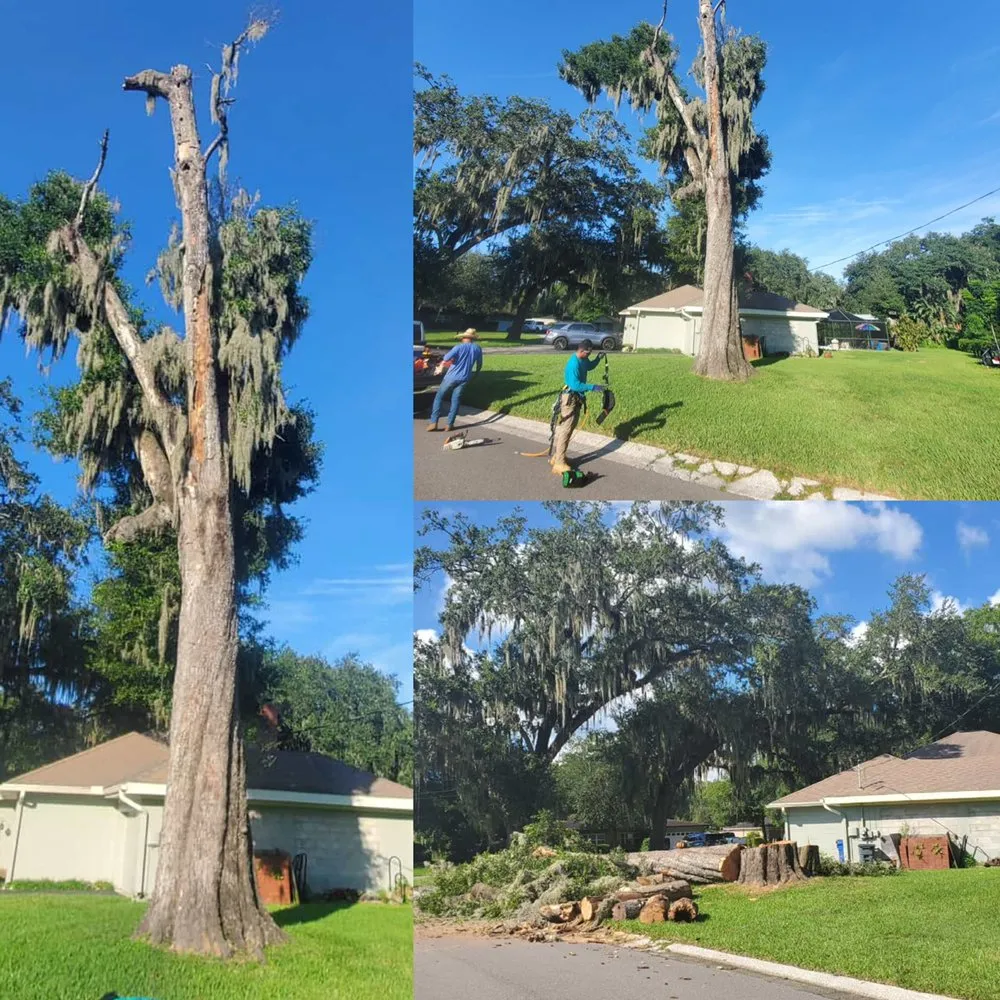 Professional garden landscaping for residential properties across St. Petersburg, FL - Everest Tree Service