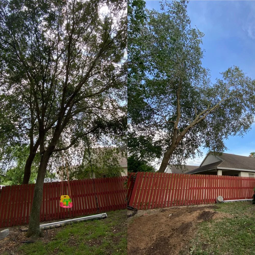 Trusted lawn mowing service in St. Petersburg, FL by Everest Tree Service