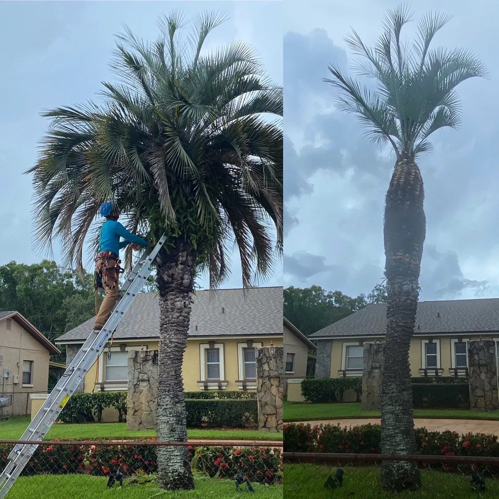 Reliable garden landscaping in St. Petersburg, FL - Everest Tree Service