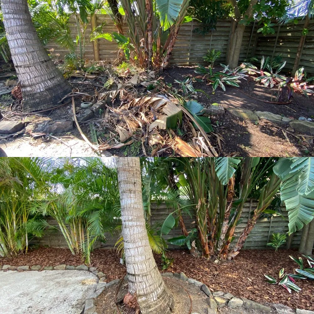 Affordable yard cleanup service near you in St. Petersburg, FL by Everest Tree Service
