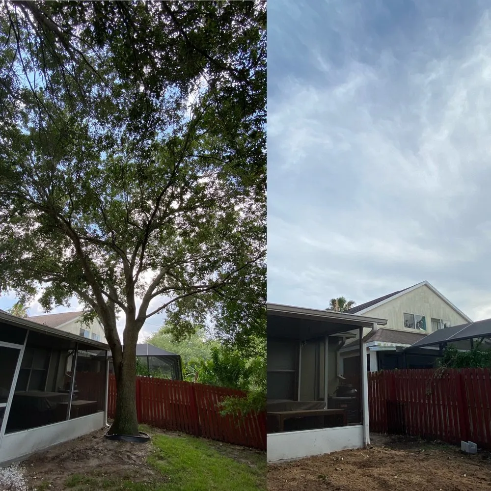 Local residential landscaping for residential properties across St. Petersburg, FL - Everest Tree Service