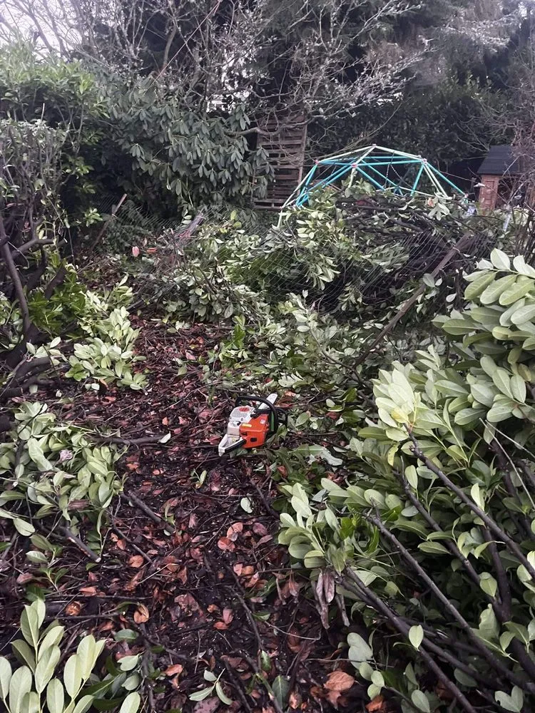 Reliable outdoor landscaping for year-round maintenance across Everett, WA - Everett Hauling & Services