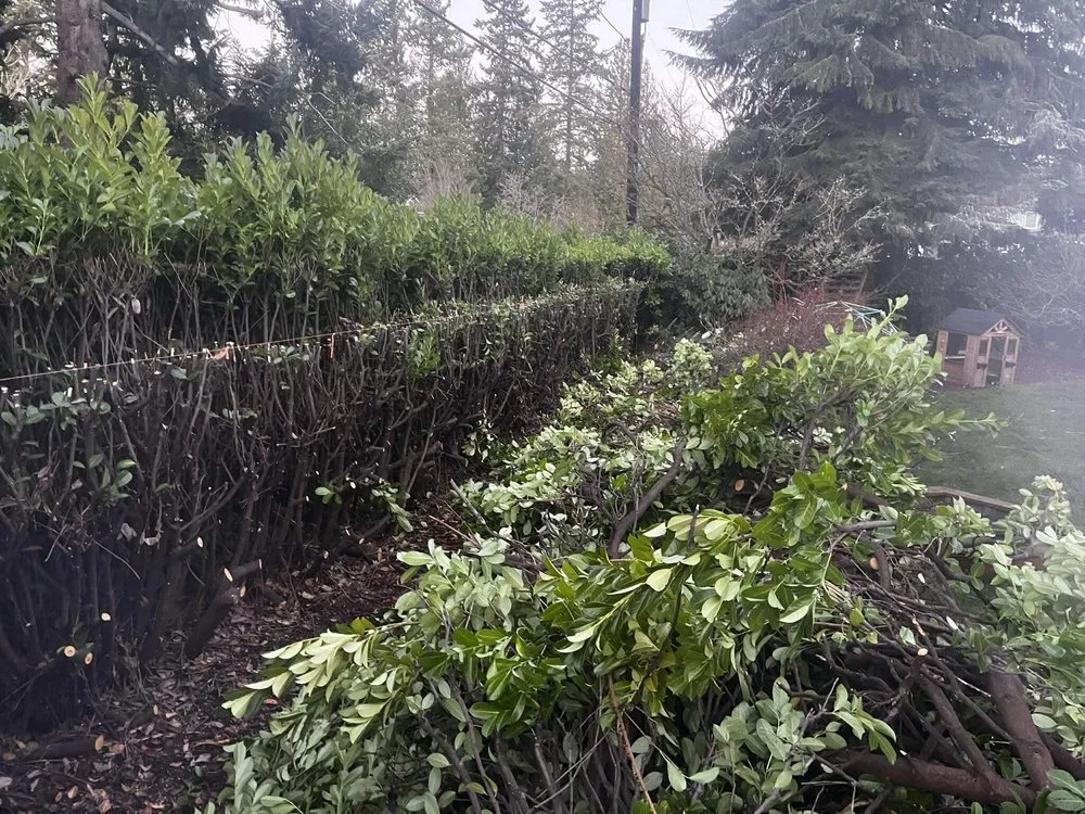 Trusted landscape design experts serving Everett, WA - Everett Hauling & Services