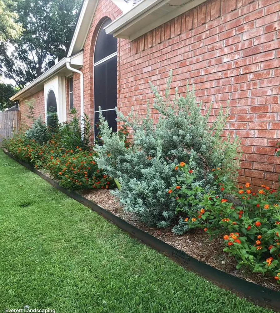 Expert lawn mowing service in Grapevine, TX by Everett Landscaping