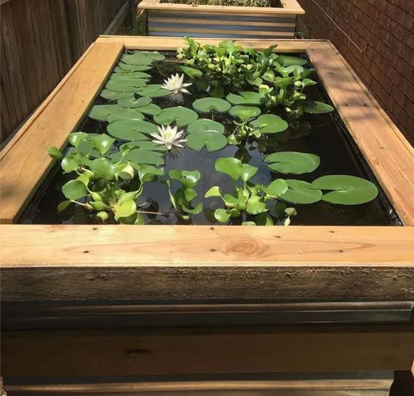 Affordable landscape design experts serving Grapevine, TX - Everett Landscaping